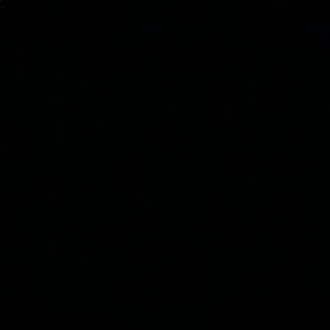 Meet your Posher, Calvin